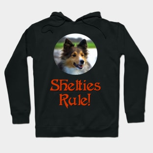 Shelties Rule! Hoodie